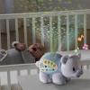 image:imageVTech Baby Lil Critters Soothing Starlight Polar Bear Nursery Projector