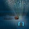 image:imageVTech Baby Soothing Starlight Igloo