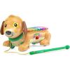 image:imageVTech Zoo Jamz Doggy Xylophone